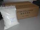 Fish Collagen Supply